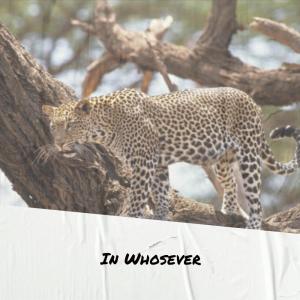 Listen to Ourself Admiration song with lyrics from Kleopatra