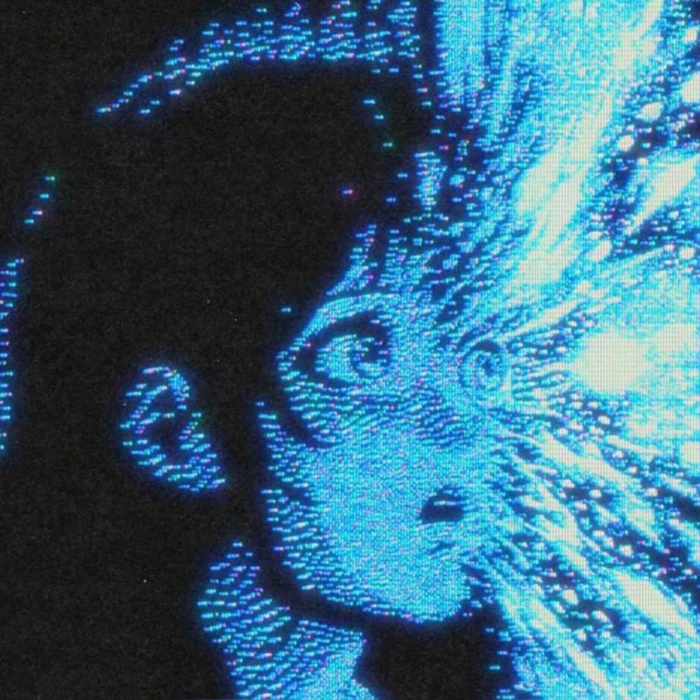 void