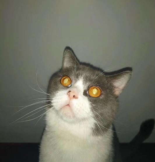 王守亿