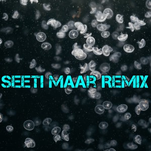 Album Seeti Maar Remix from DJ Indonesia-Pop