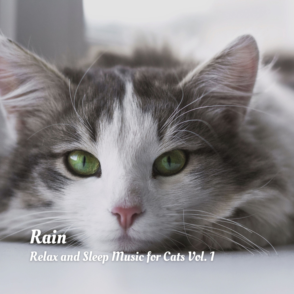 Holiday Rain Sounds