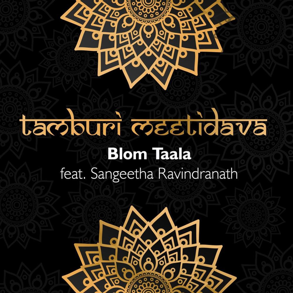 Tamburi Meetidava