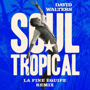 อัลบัม Soul Tropical (La Fine Equipe Remix) ศิลปิน David Walters