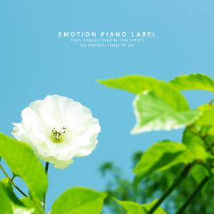 Album Sweet Pianist Piano to Tell Your Baby from Korea Various Artists