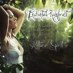 ดาวน์โหลดและฟังเพลง Thunderstuck พร้อมเนื้อเพลงจาก Nature Spirit