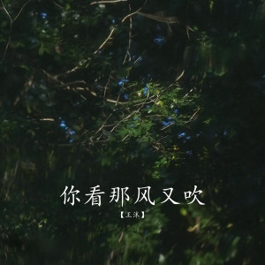 Listen to 你看那风又吹 song with lyrics from 王沫