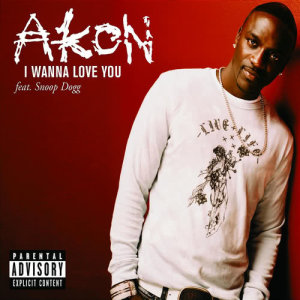 收聽Akon的I Wanna Love You (Album Version|Edited)歌詞歌曲