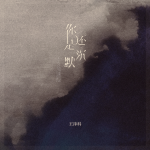 Album 你还是沉默 (1.3加速版) from 王泽科