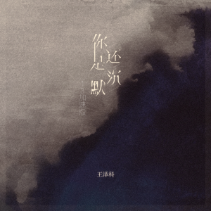 อัลบัม 你还是沉默 (1.3加速版) ศิลปิน 王泽科