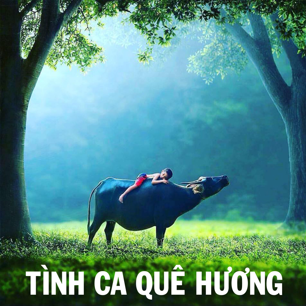 Lời ru trên sóng