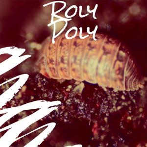 Listen to Roughneck Blues song with lyrics from Grady Martin