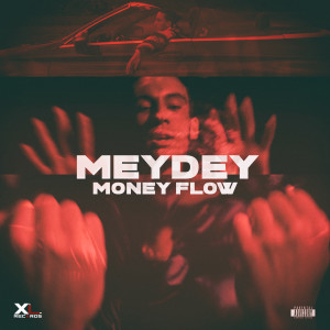 Listen to Money Flow (Explicit) song with lyrics from Meydey