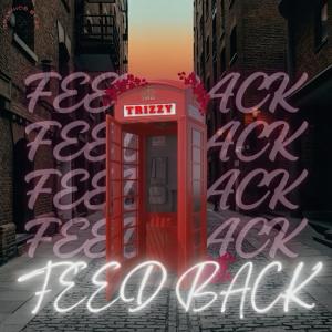 Trizzy的專輯Feedback