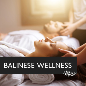 Balinese Wellness Music (Tropical Bathhouse Experience Spa Music) dari Spa Healing Zone