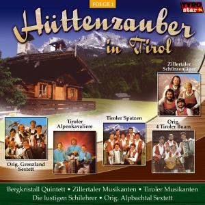 收听Zillertaler Musikanten的Alles tanzt im Polkaschritt歌词歌曲