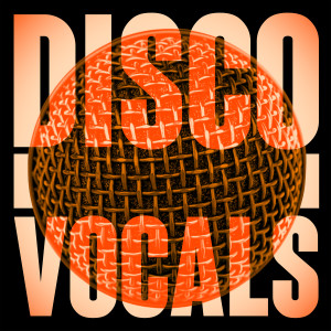 อัลบัม Disco Vocals: Soulful Dancefloor Cuts Featuring 23 Of The Best Grooves ศิลปิน Various Artists