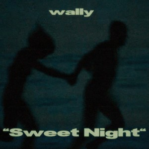 收听wally的SWEET NIGHT歌词歌曲