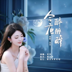 Album 今夜醉醉醉（女声版） from 美美