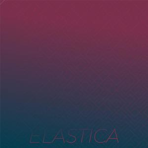 Dengarkan lagu Elastica nyanyian Lauras Rint dengan lirik
