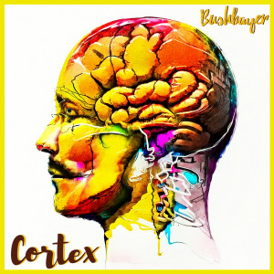 Listen to Cortex song with lyrics from Bushbayer