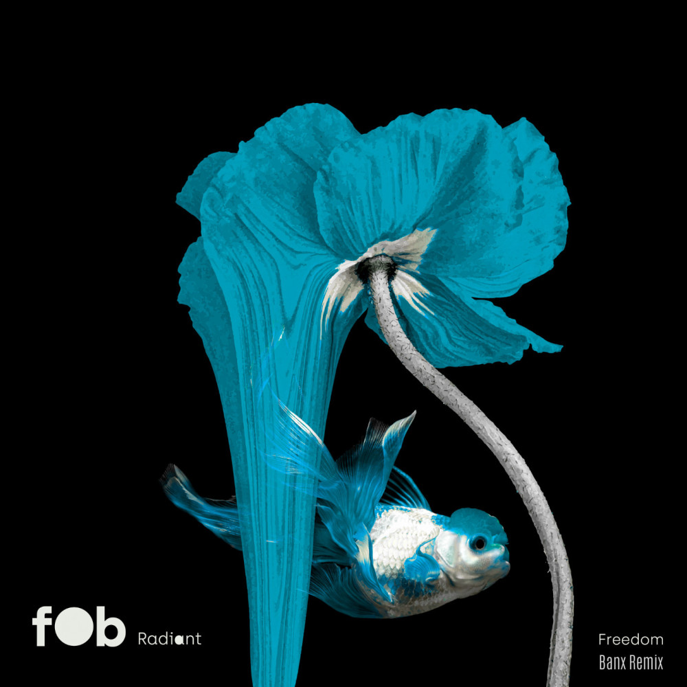 Freedom (Banx Remix)