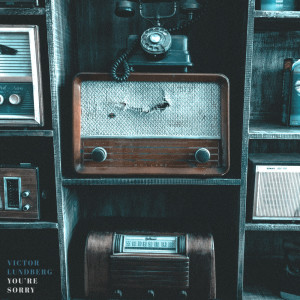 Dengarkan You're Sorry lagu dari Victor Lundberg dengan lirik