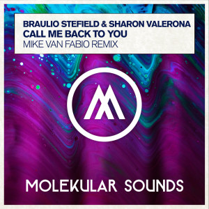 Album Call Me Back To You (Mike van Fabio Remix) from Braulio Stefield