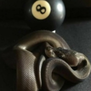 ดาวน์โหลดและฟังเพลง GETTIN' THE PAPER พร้อมเนื้อเพลงจาก 8GHTBALL