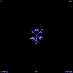 Listen to In the Shades of Purple song with lyrics from Raoul