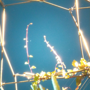 Dengarkan kids on the beach lagu dari Cafune dengan lirik