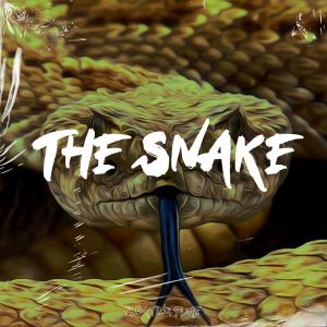 Dengarkan The Snake lagu dari Fast Blurry dengan lirik
