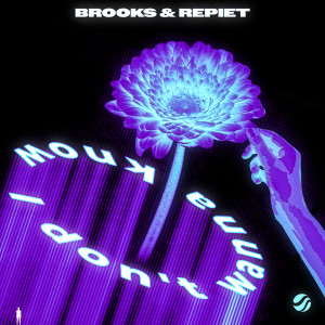 ดาวน์โหลดและฟังเพลง I Don't Wanna Know พร้อมเนื้อเพลงจาก Brooks
