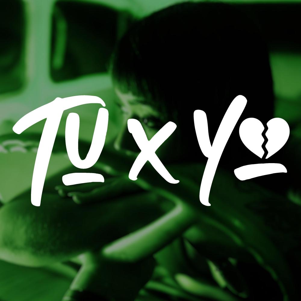 Tu y Yo (feat. Lea in the mix)