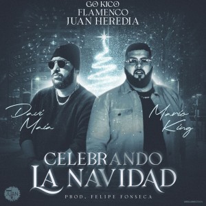 ดาวน์โหลดและฟังเพลง Celebrando la Navidad พร้อมเนื้อเพลงจาก Flamenco Juan Heredia