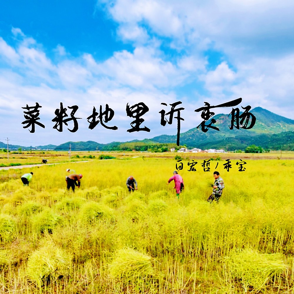 菜籽地里诉衷肠