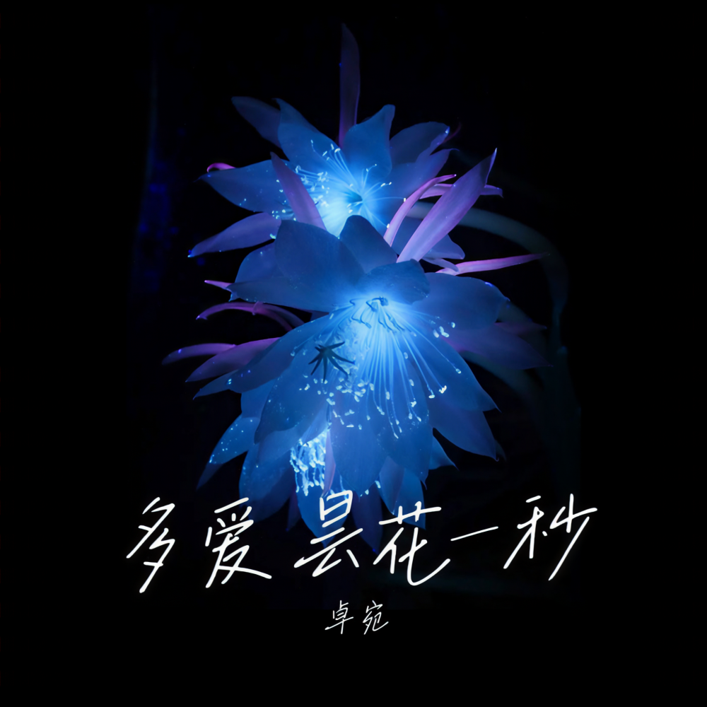 多爱昙花一秒 (伴奏)