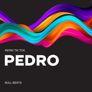 manu rg的專輯Pedro (Tik Tok Remix)
