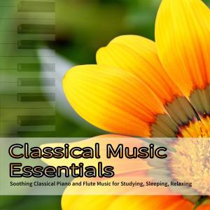 Listen to Flute Sonata, FP 164: II. Cantilena song with lyrics from Classical Music DEA Channel