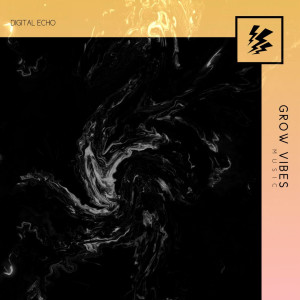 ดาวน์โหลดและฟังเพลง Digital Echo พร้อมเนื้อเพลงจาก Pandu Kusuma