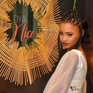 Album Nice from DYA