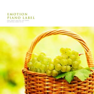 Album Emotional Piano For Richness Of Mind from Various Artists