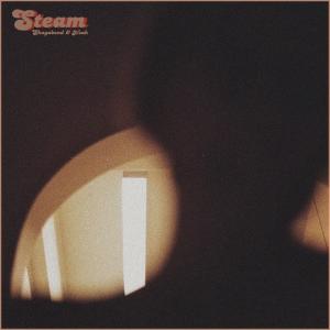 ดาวน์โหลดและฟังเพลง Steam พร้อมเนื้อเพลงจาก Shagabond