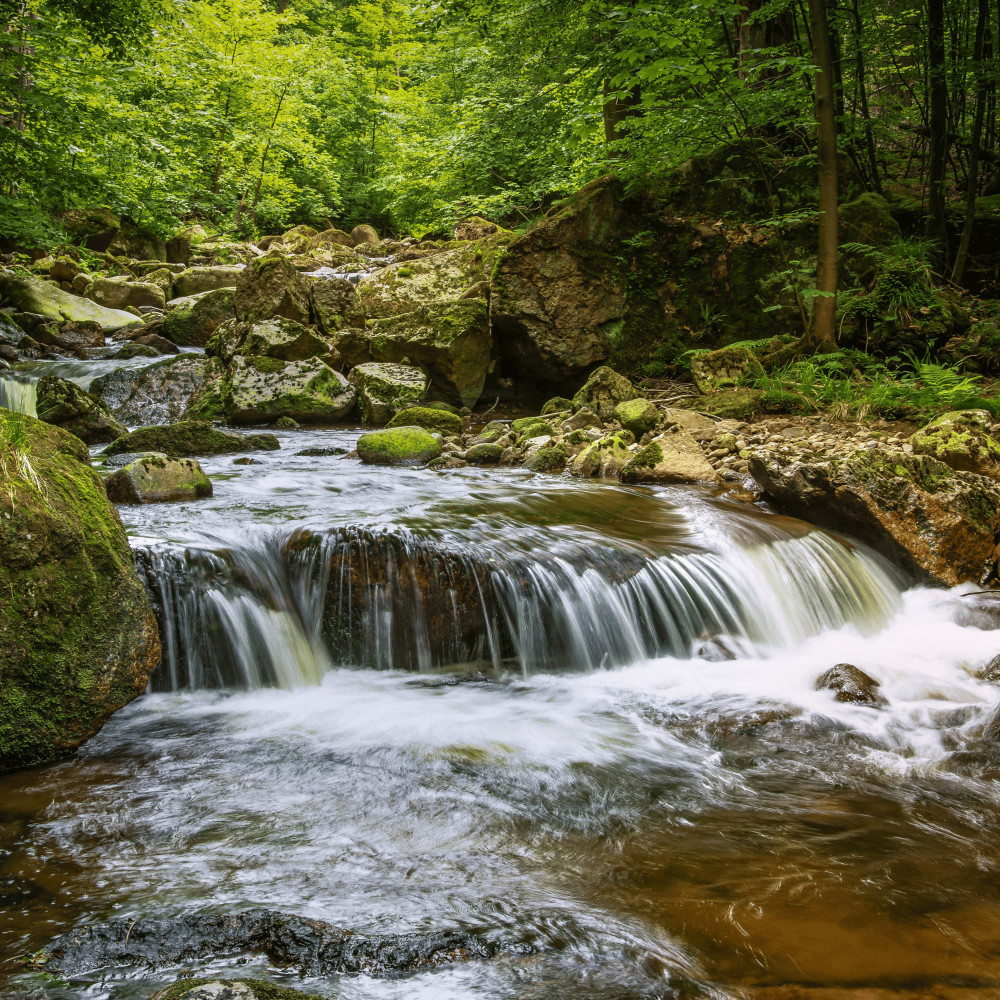 Stream Chant Reflection