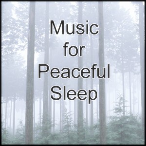 ดาวน์โหลดและฟังเพลง Music for Peaceful Sleep "Flower" (其他) พร้อมเนื้อเพลงจาก Sleep Music Laboratory