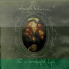 default album img