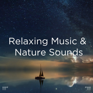 !!!" Relaxing Music & Nature Sounds "!!! dari Nature Sounds Nature Music