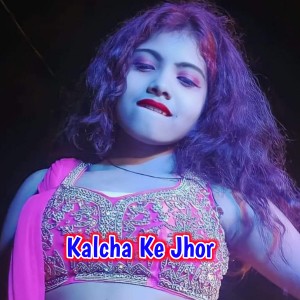 Listen to Kalcha Ke Jhor song with lyrics from Lilu Dewangan
