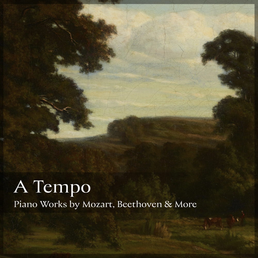 Tchaikovsky: 18 Pieces, Op. 72, TH 151: No. 15, Un poco di Chopin