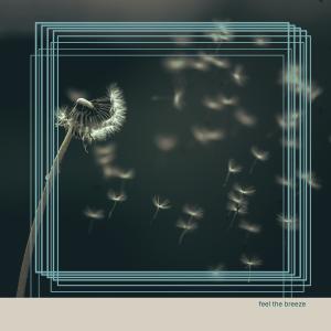 Jeremy Johnson的專輯Feel the Breeze