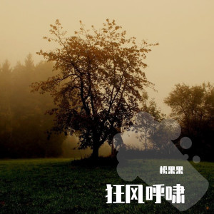 Album 狂风呼啸 from 松果果